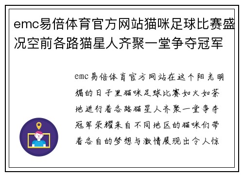 emc易倍体育官方网站猫咪足球比赛盛况空前各路猫星人齐聚一堂争夺冠军荣耀